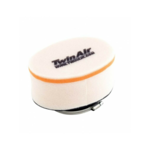 Filtre à Air Twin Air 150901