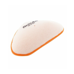 Filtre à Air Twin Air 154001