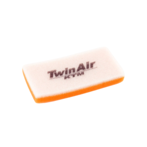 Filtre à Air Twin Air 154004