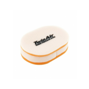 Filtre à Air Twin Air 158100