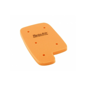 Filtre à Air Twin Air 158263