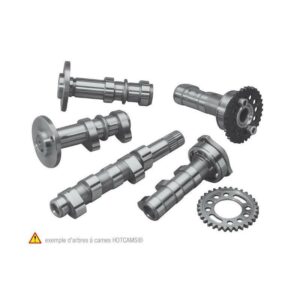 Arbre à cames HOT CAMS - Niveau 2 Yamaha YFM660R