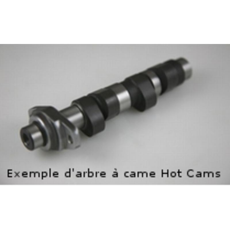 Arbre à cames HOT CAMS - Niveau 2 Polaris Arbre à cames HOT CAMS - Niveau 2 Polaris