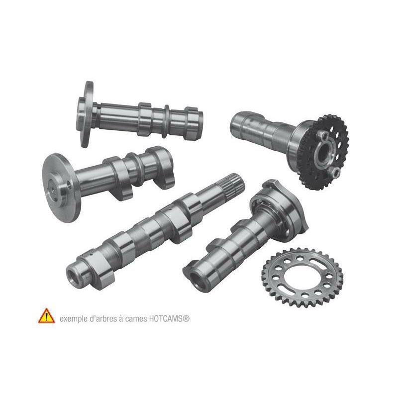 Arbre à cames échappement + admission HOT CAMS - Niveau 1 Suzuki RM-Z450 Arbre à cames échappement + admission HOT CAMS - Niveau 1 Suzuki RM-Z450