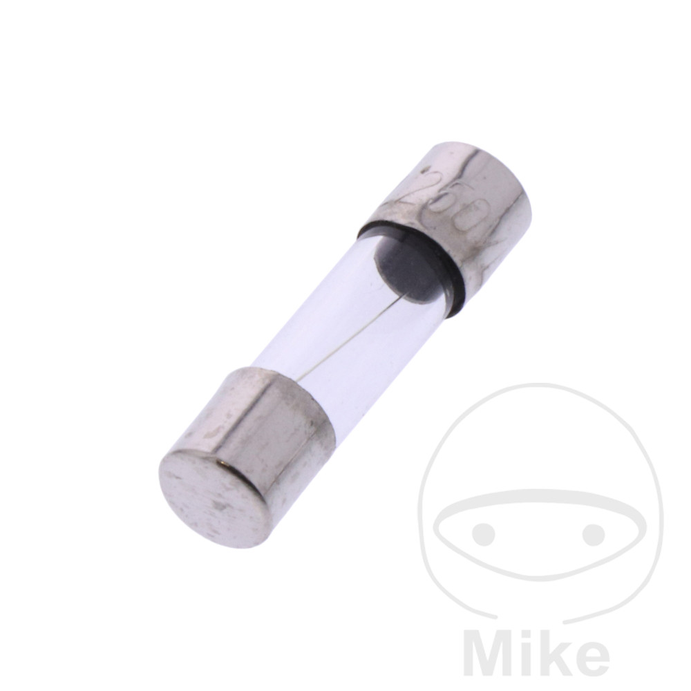 Radio avec fusible en verre 6.30A 5X20 Fusible en verre radio 10A BTL6