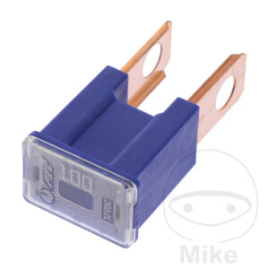 Fusible PAL BT 100A Blister