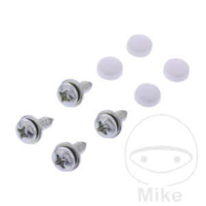 Vis de plaque d'immatriculation 5.5X16