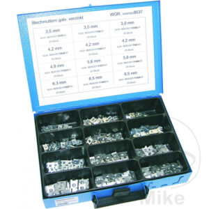 Assortiment de Noisettes 300 pièces