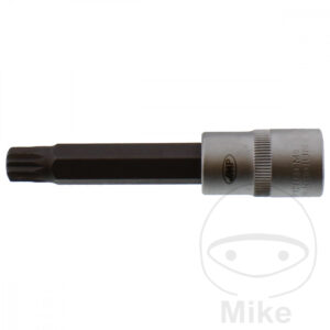 Insérer multi-dent 1/2 pouce M12 JMP