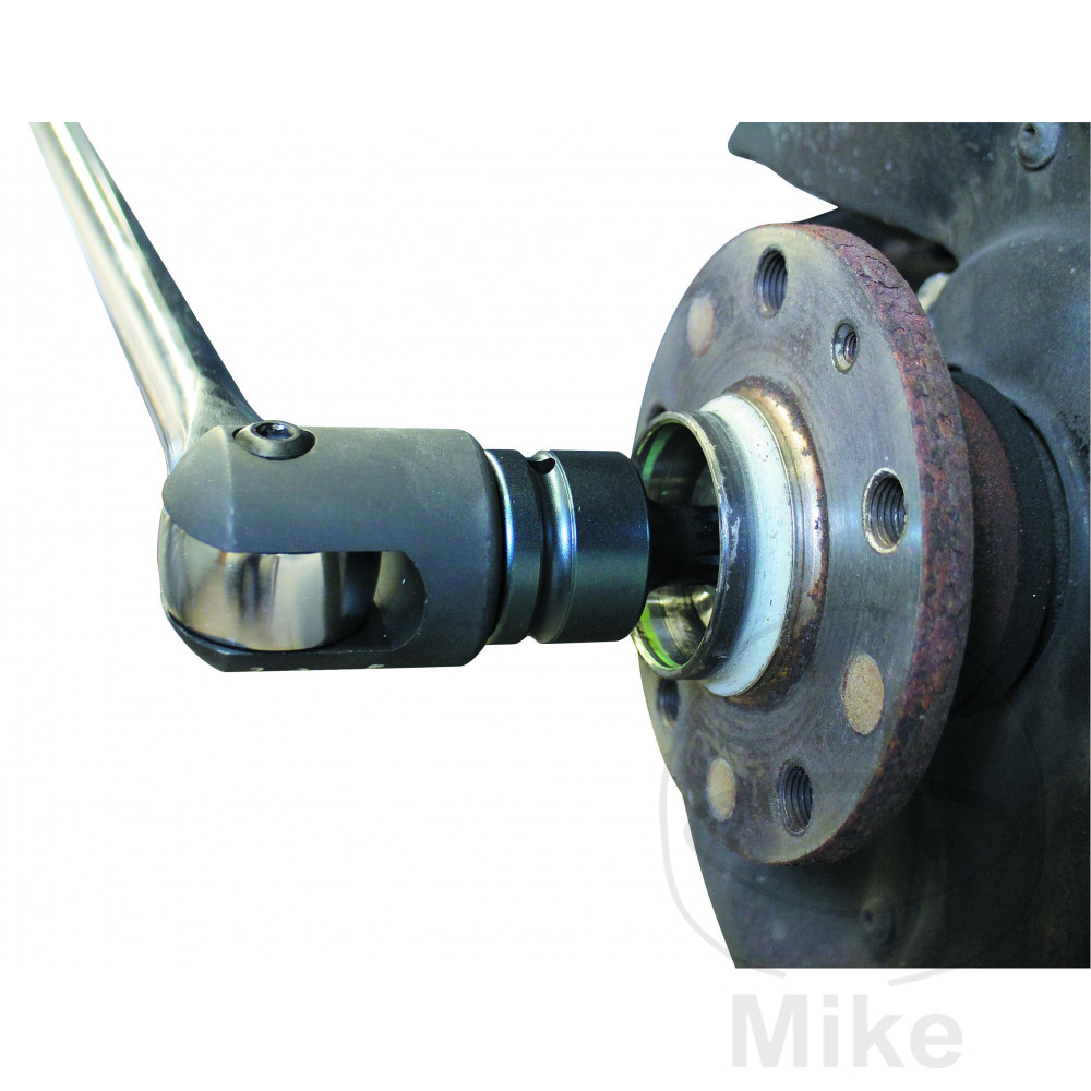 Insert a denture multiple 3/4 M18 Insert a denture multiple 3/4 M18 – Image 2