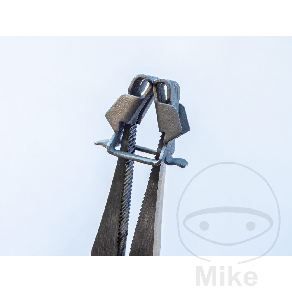 FLACHZANGE SONNENBL VAG FLACHZANGE SONNENBL VAG – Image 3