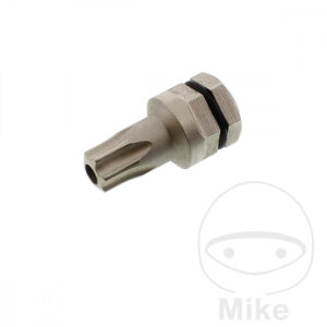 Bit Torx T30 5/16 6 Kant