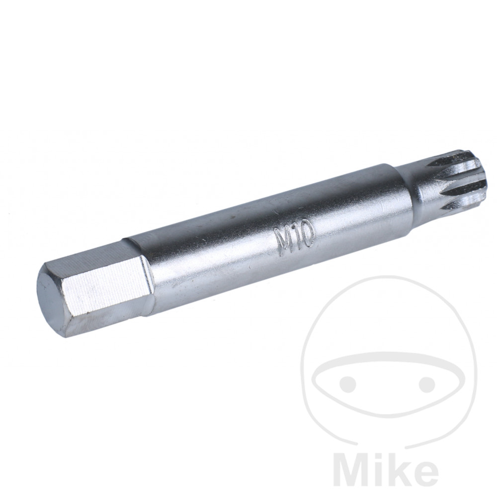 Dent de denture M10 10 mm 6 Kant Dent de denture M10 10 mm 6 Kant