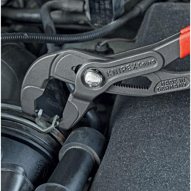 pince pince pince pince – Image 4