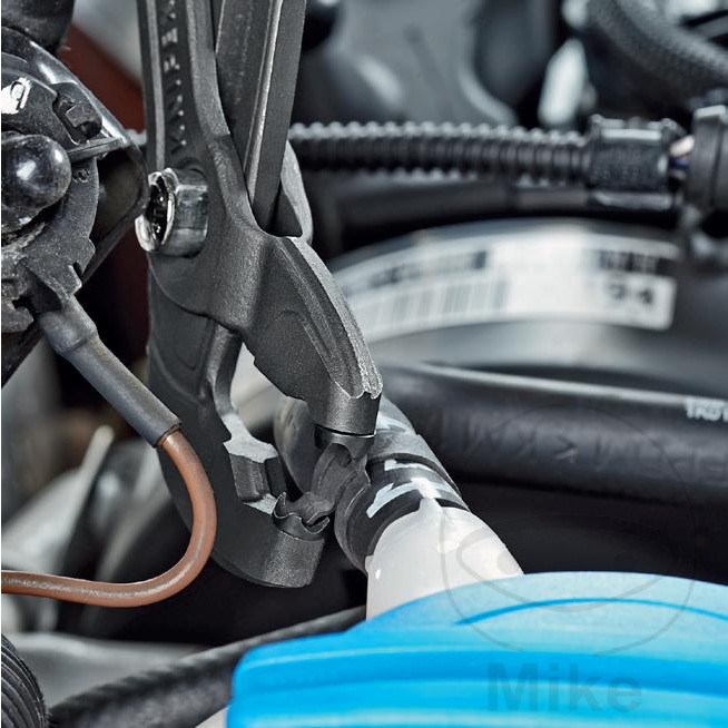 pince pince pince pince – Image 5