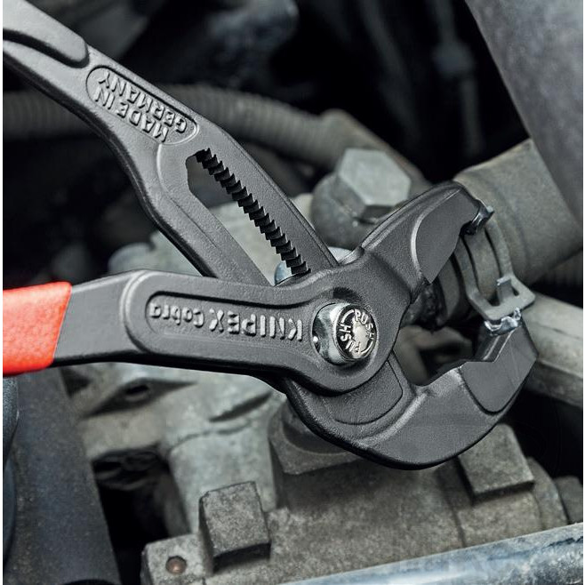 pince pince pince pince – Image 6