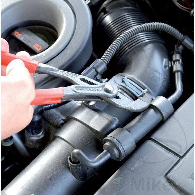 pince pince pince pince – Image 7