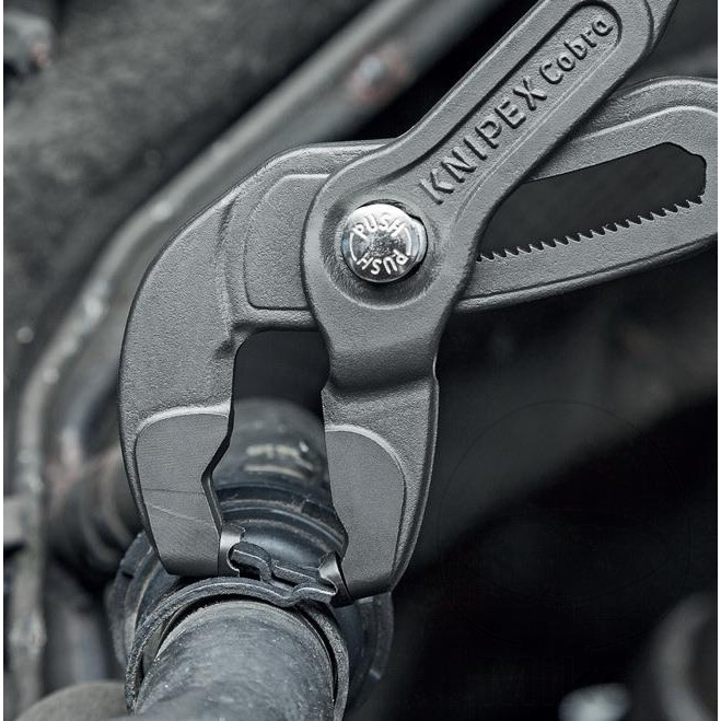 pince pince pince pince – Image 8