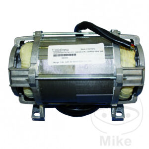 Sous le moteur à huile 3KW avec le pied