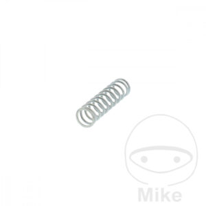 PRESSION PRINTEMPS DG