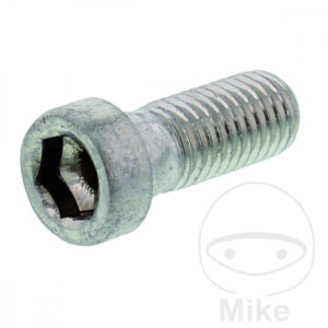 Vis à tête cylindrique M12X30