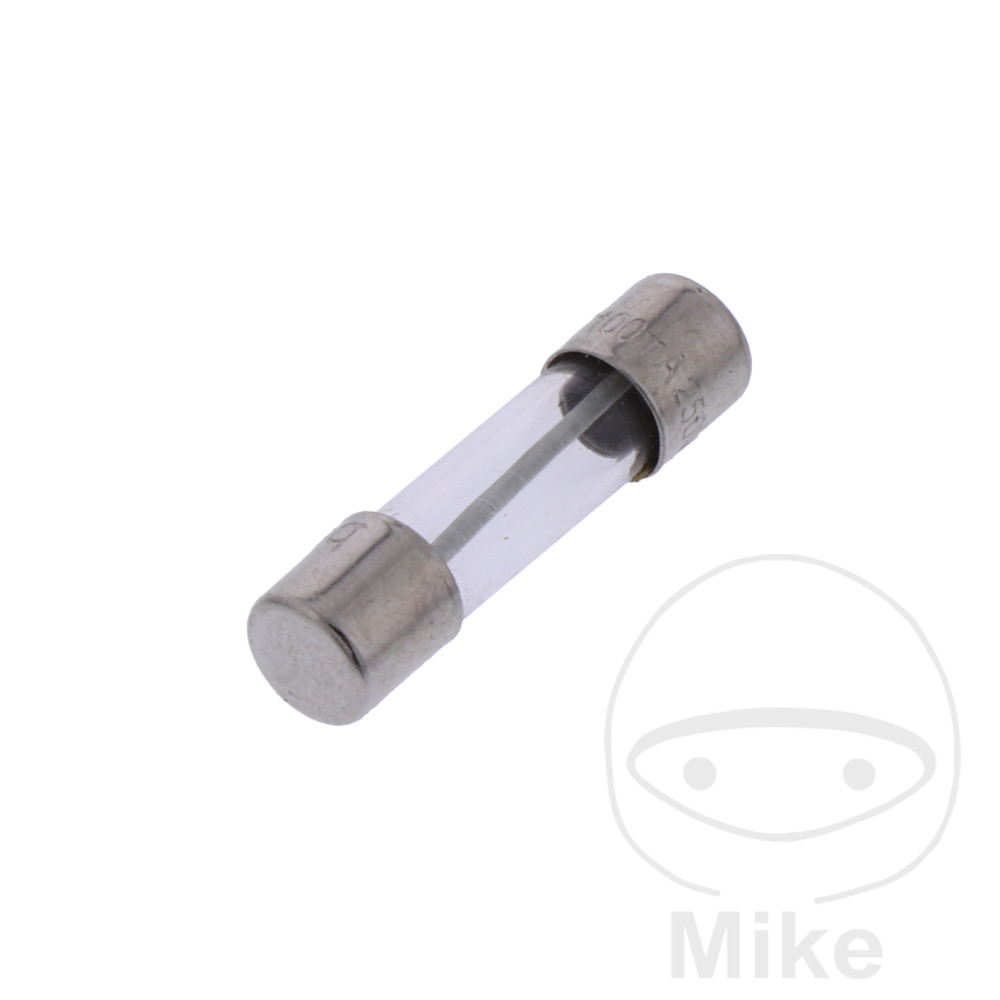 GLASS FUSE TR 100MA 20X5 GLASS FUSE TR 100MA 20X5