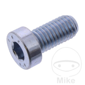 CYLINDER HEAD SCREW M10X20