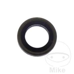 SEAL RING OELABLASSSCHRAU