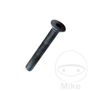 Senkschraube 8X60 Monty
