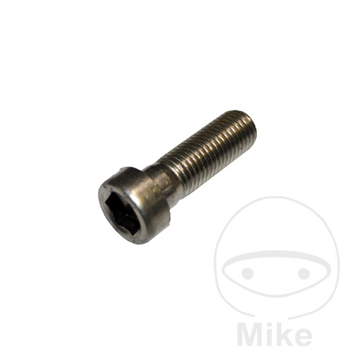 Vis à tête cylindrique M16X50 Vis à tête cylindrique M16X50