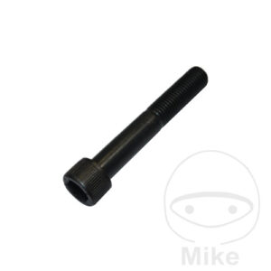 Vis à tête cylindrique M16X100