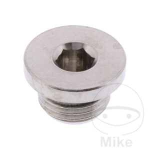 Bouchon Obturateur g 1/4