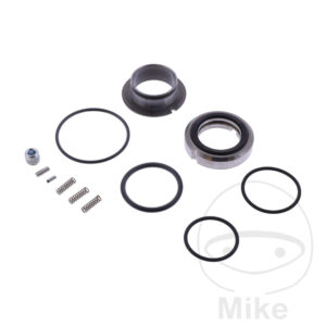 GLEITRINGDICHTUNG complète.