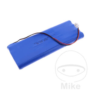BATTERY SEG JMP LEX