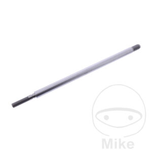 PISTON ROD ABDRUECKZYL.