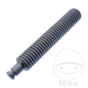 SPINDLE WULSTNIEDEREDRUEC