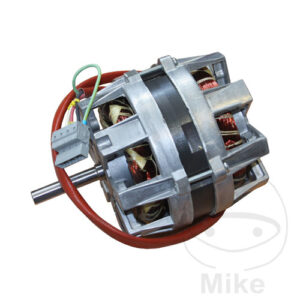 Moteur Geodyna Hofmann