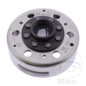 Alternateur POLRAD/ROTOR (Pièce origine