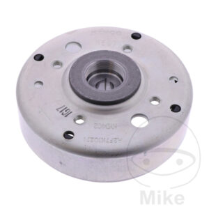 Alternateur POLRAD/ROTOR (Pièce origine