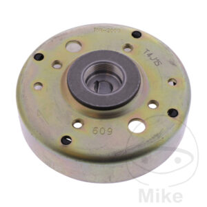 Alternateur POLRAD/ROTOR (Pièce origine