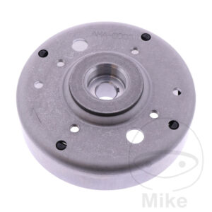 Alternateur POLRAD/ROTOR (Pièce origine