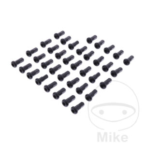 Jeu d'écrous de rayon arrière