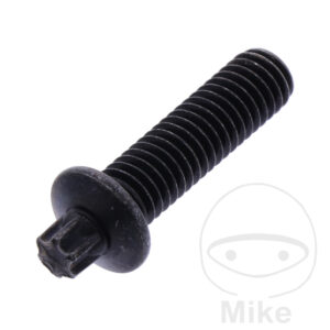 Vis ABREISS (Pièce origine OEM)