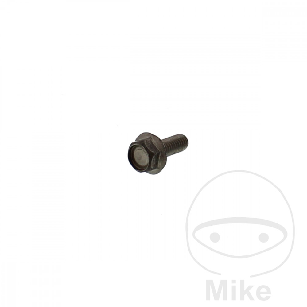 Vis de Disque de Frein (pièce origine) Vis de Disque de Frein (pièce origine)