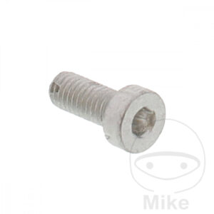 Vis de Disque de Frein (pièce origine)