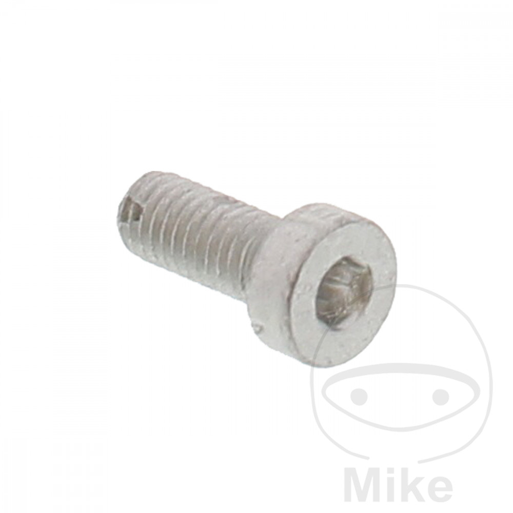Vis de Disque de Frein (pièce origine) Vis de Disque de Frein (pièce origine)