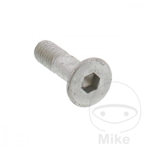 Vis à tête fraisée (Pièce Origine)