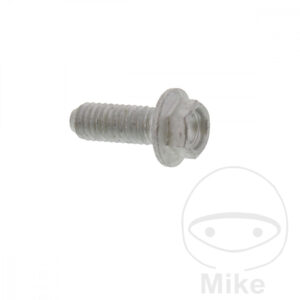 Vis de Disque de Frein (pièce origine)