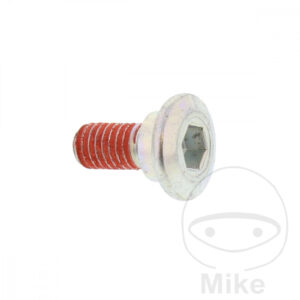 Vis de Disque de Frein (pièce origine)