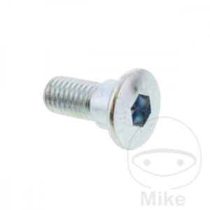 Vis de Disque de Frein (pièce origine)